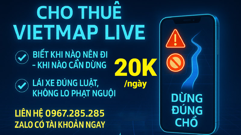 cho-thue-vietmap-live-pro-h4-800-450
